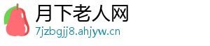 月下老人网